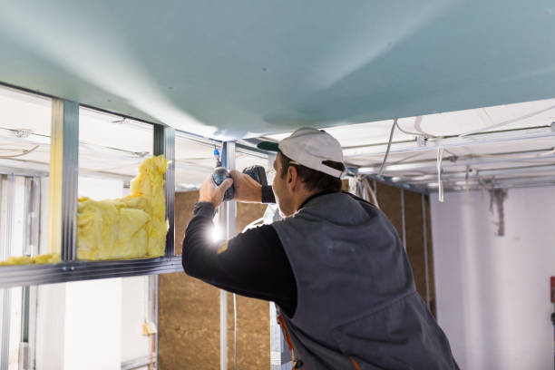 Best Spray Foam Insulation in Lyford, TX