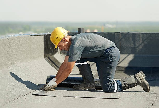 Best Geographic-Specific Insulation Services in Lyford, TX